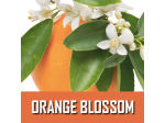 Orange Blossom | Sweet orange blossoms, peaches and tangerines with a blend with neroli, cognac and vanilla.
